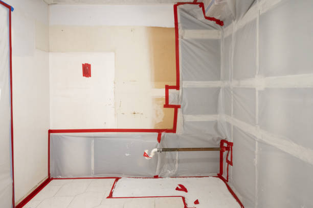 Best Water Damage & Mold Remediation  in Del Rio, CA